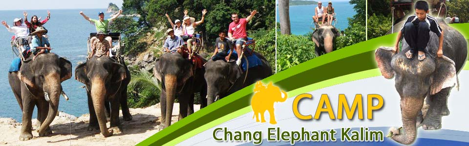 Camp Chang Kalim - Elephant Trekking Tours Patong Beach Phuket Thailand