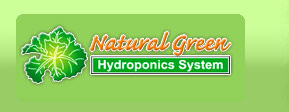 Natural Green Hydroponics - Farm Fresh Vegetables Sales Phuket Thailand