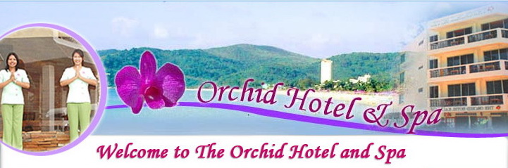 Orchid Hotel Spa Seaside Resort Spa Hotel Patong Beach Phuket Thailand
