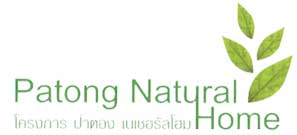 Patong Natural Home - Real Estate Project Patong Beach Phuket Thailand