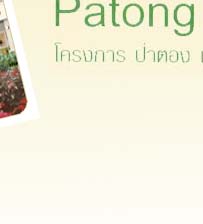 Patong Natural Home - Real Estate Project Patong Beach Phuket Thailand
