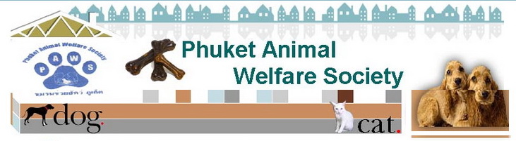 Phuket Animal Welfare Society (PAWS) Stray Dogs Cats Care Phuket Thailand