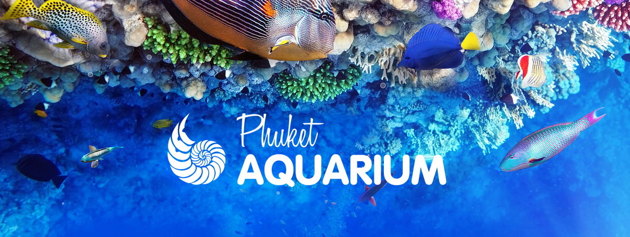 Phuket Aquarium - Public Aquarium Family Activity Destination