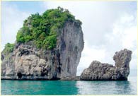 Phuket Tropical Marine - Speedboat Tours camel