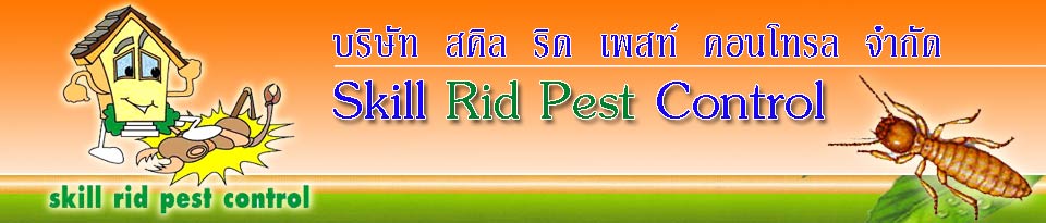 Skill Rid Pest Control Safe Bait Box Termite Extermination Services Phuket