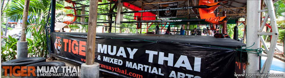 Muay Thai, Thaiboxing & MMA Tiger Muay Thai Training Camp, Phuket, Thailand