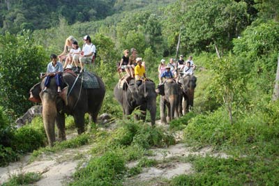 Camp Chang Kalim - Elephant Trekking Tours Patong Beach Phuket Thailand