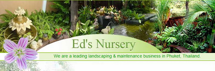Ed's Nursery - Plants Nursery Landscaping Design Rawai Phuket Thailand