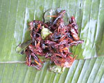 Fried Grasshoppers Tasty and crunchy