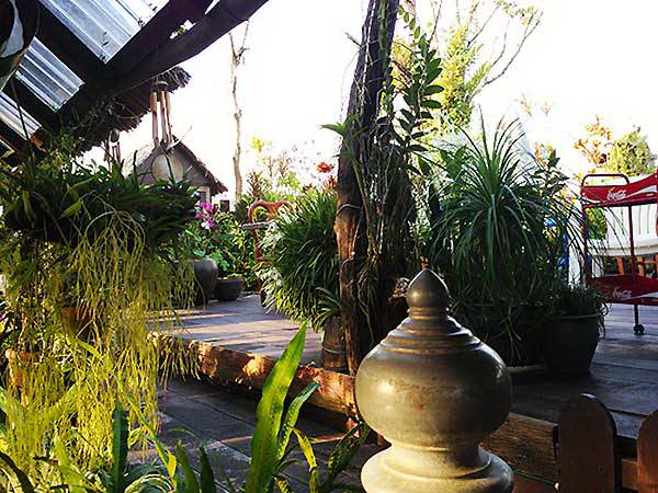 Natural Restaurant - Antiques and Nature Restaurant Phuket Town Thailand