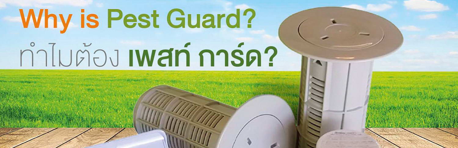 Pest Guard Termite, Cockroaches & Insects Exterminating Services in Phuket