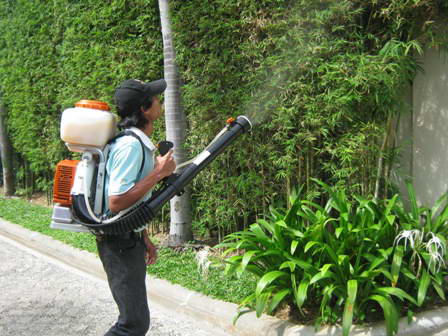 Pest Guard Exterminating Termites, Cockroaches, Ants, Insects Pests Services in Phuket