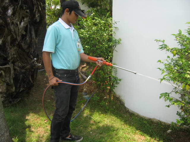 Pest Guard Exterminating Termites, Cockroaches, Ants, Insects Pests Services in Phuket