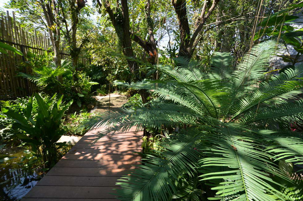 Phuket Botanic Garden Plant Displays Recreational Research Center Phuket