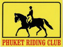 Phuket Riding Club Horse Riding School Trekking Phuket Thailand