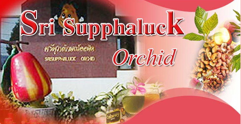 Sri Supphaluck Orchid - Cashew Nuts Products Sales Phuket Thailand
